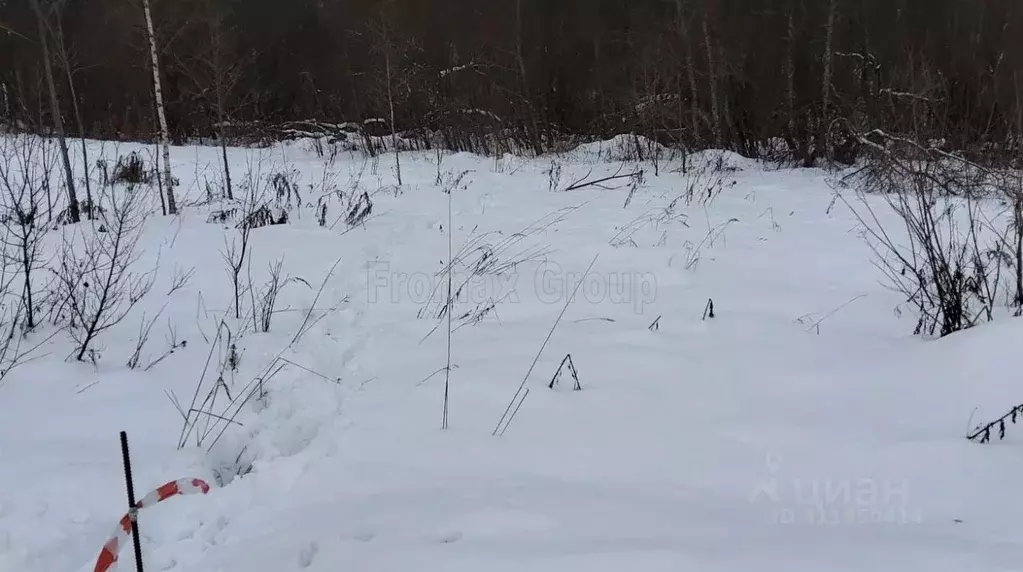 Участок в Московская область, Пушкинский городской округ, д. Артемово  ... - Фото 0