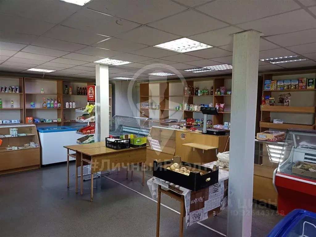 Торговая площадь в Рязанская область, Скопинский муниципальный округ, ... - Фото 2