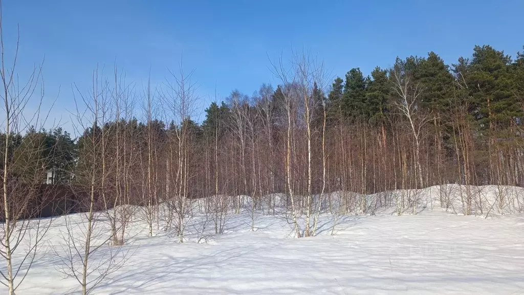 Участок в Московская область, Раменское ул. 2-я Серебряная (7.7 сот.) - Фото 2