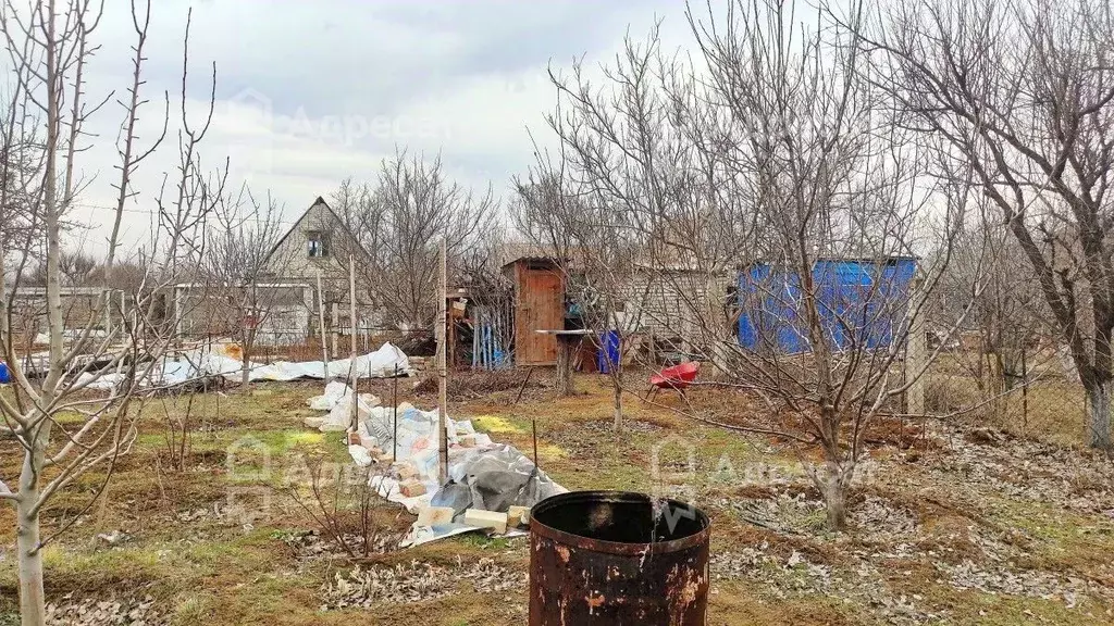 Дом в Волгоградская область, Волгоград Дружба СНТ,  (40 м) - Фото 1