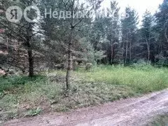 Участок в Белгородская область, Чернянский муниципальный округ, хутор ... - Фото 1