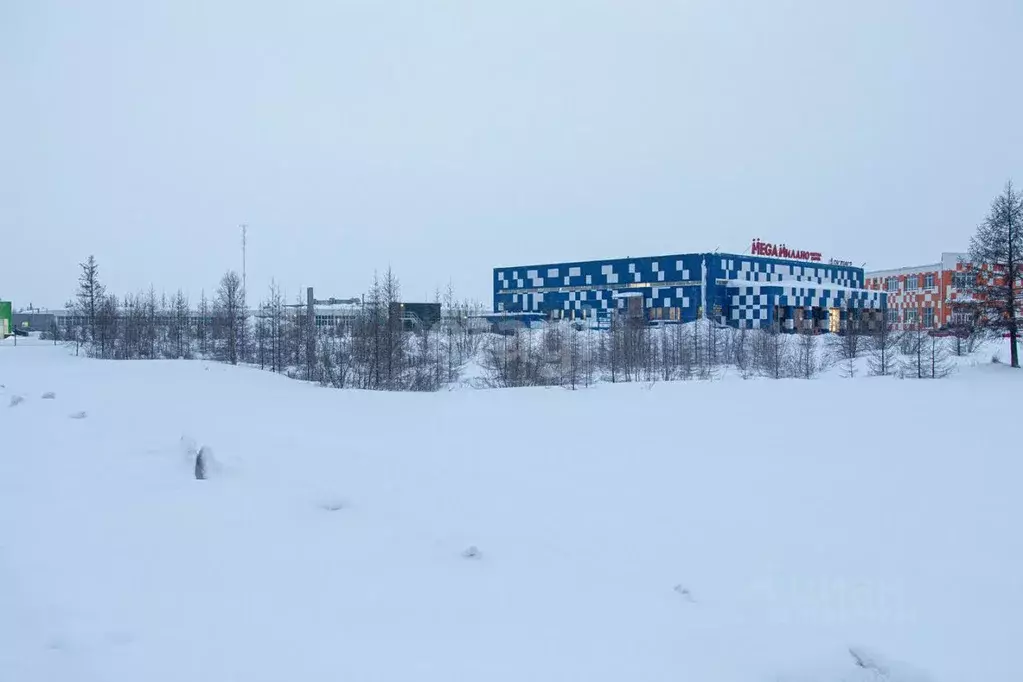 Участок в Ямало-Ненецкий АО, Новый Уренгой Ленинградский просп., 15Д ... - Фото 0