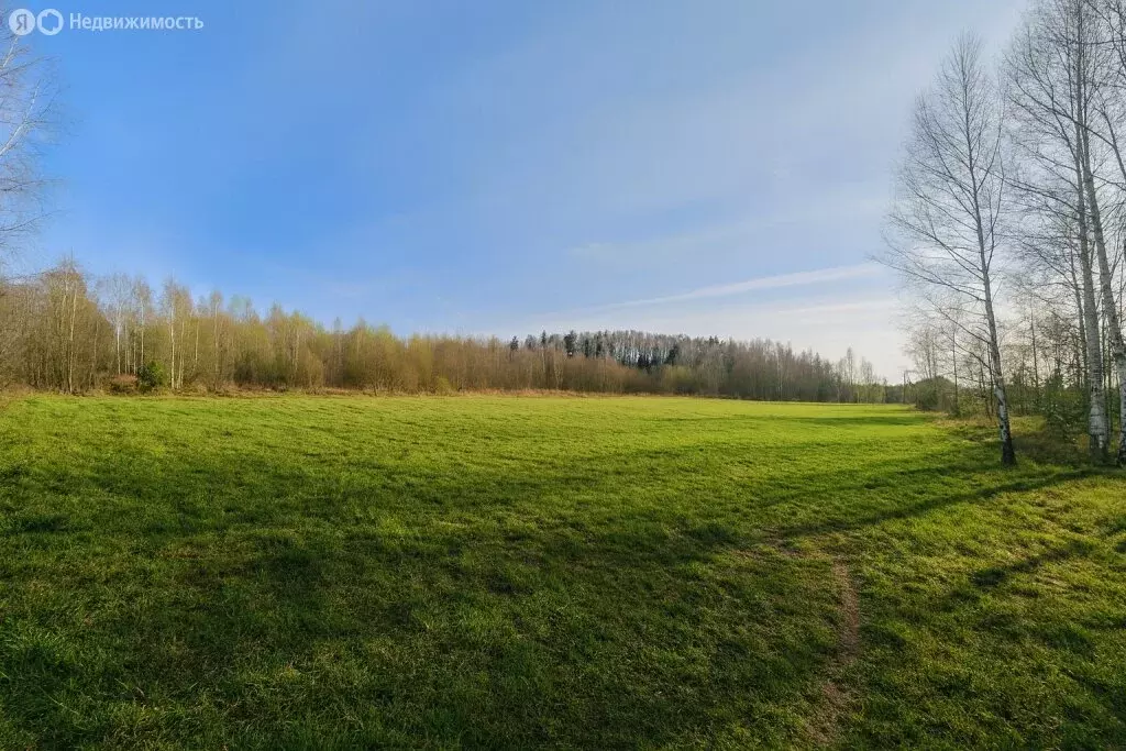 Участок в деревня Старая Руза, Берёзовая улица (15 м) - Фото 2