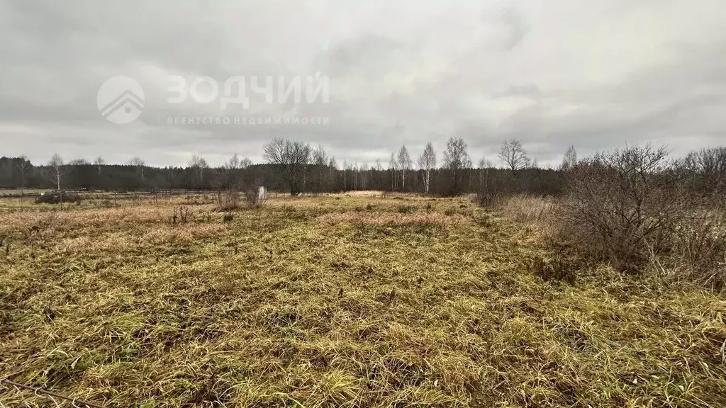 Участок в Чувашия, Шумерлинский муниципальный округ, д. Мыслец  (32.0 ... - Фото 2