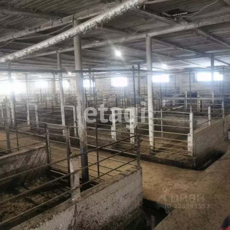 Участок в Красноярский край, Абанский муниципальный округ, ... - Фото 1