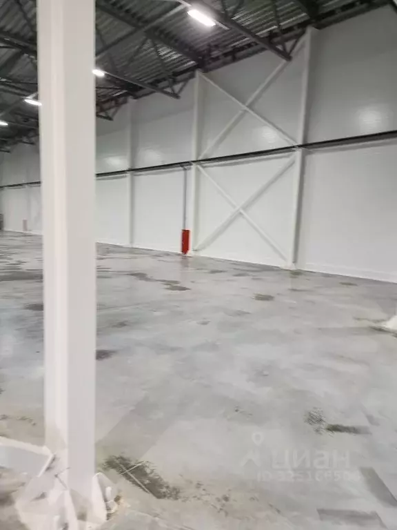 Склад в Московская область, Чехов муниципальный округ, с. Новоселки, ... - Фото 2