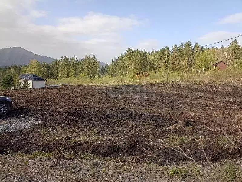 Участок в Алтай, Майминский район, Манжерокское с/пос, с. Озерное ул. ... - Фото 1