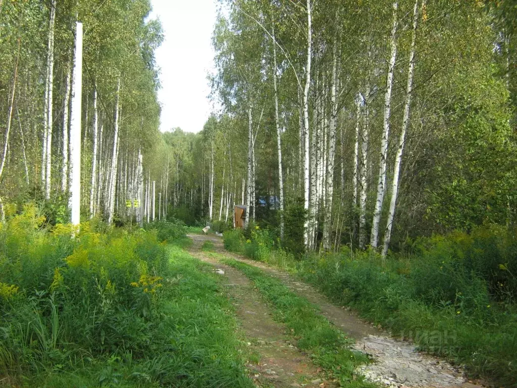 Купить Дом В Зеленом Городе Нижегородской Области