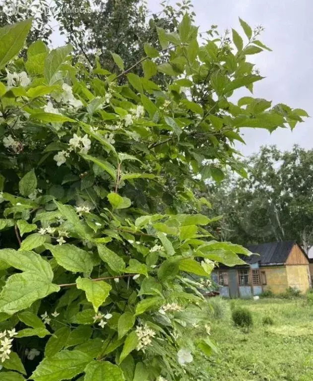 Дом в Елизовский район, садовое некоммерческое товарищество Черёмушки ... - Фото 0