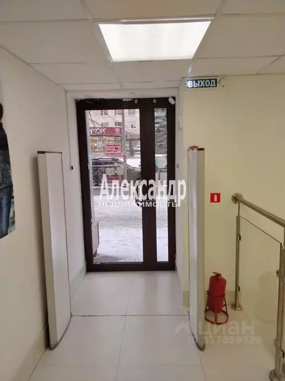 Торговая площадь в Ленинградская область, Выборг Московский просп., 9 ... - Фото 1