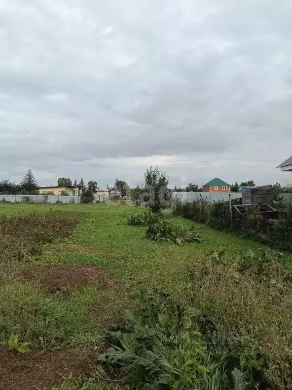 Участок в Омская область, Омский район, пос. Ростовка Целинная ул. ... - Фото 1