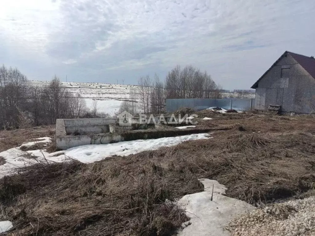 Участок в Владимирская область, Суздальский муниципальный округ, с. ... - Фото 2