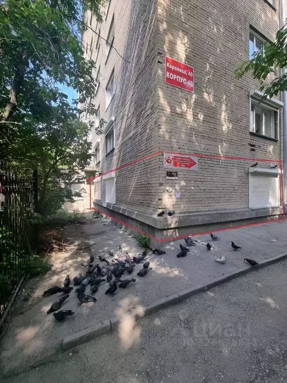 Офис в Новосибирская область, Новосибирск ул. Королева, 40к40 (146 м) - Фото 2