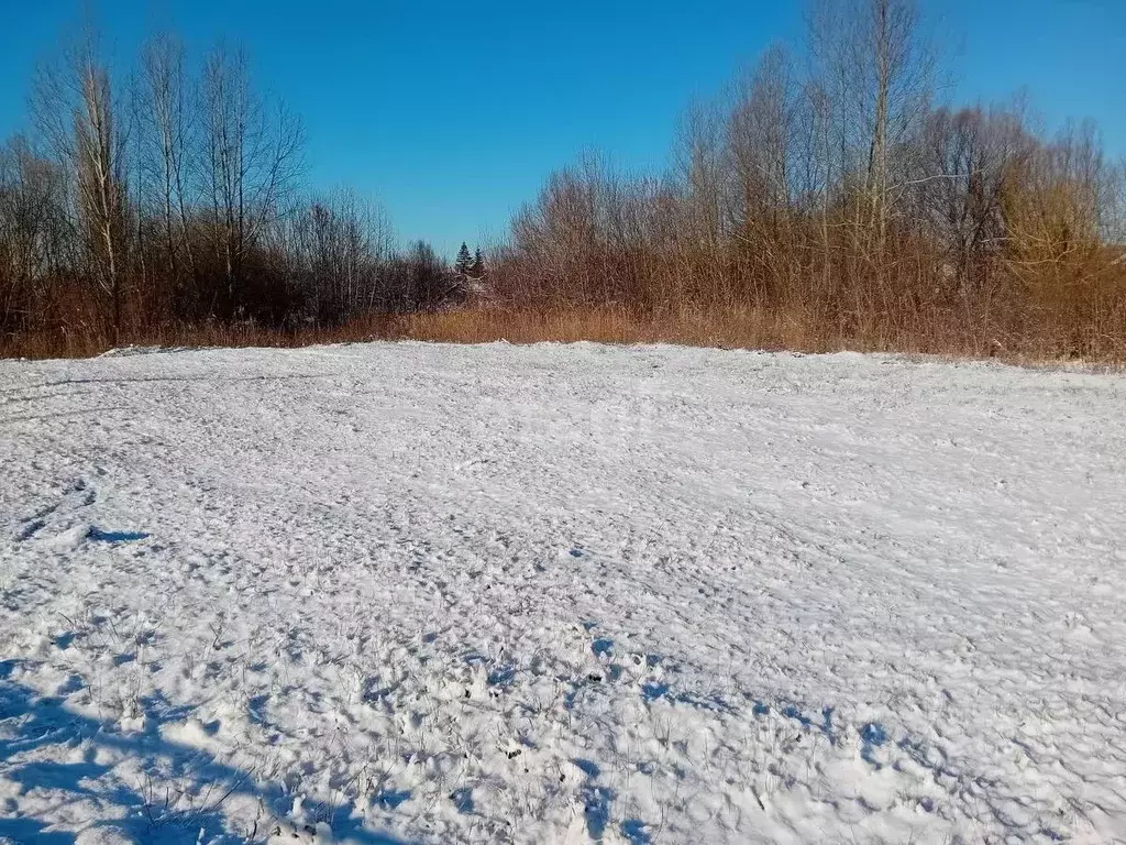 Участок в Белгородская область, Красногвардейский район, Засосенское ... - Фото 1