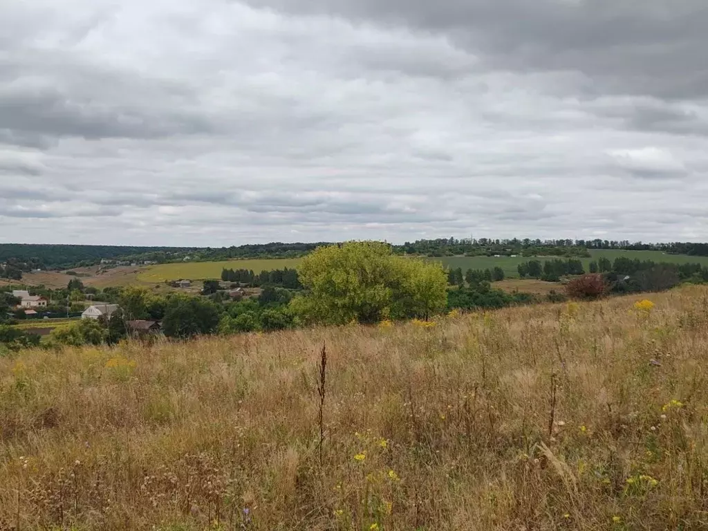 Участок в Курская область, Курский район, Клюквинский сельсовет, д. ... - Фото 1