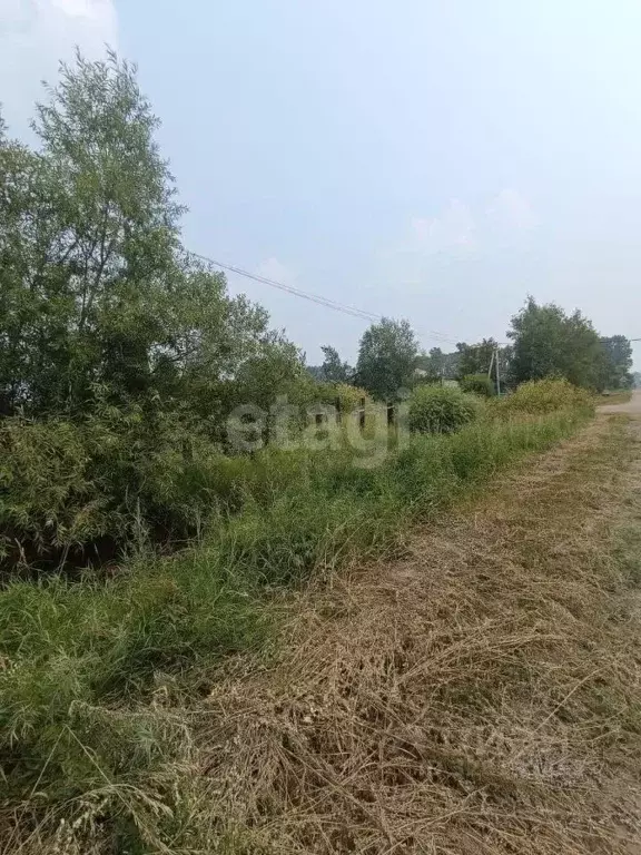 Участок в Амурская область, Благовещенск Весна СТ,  (11.9 сот.) - Фото 1