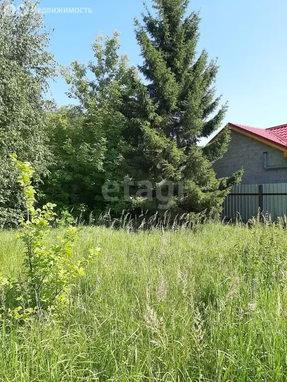 Участок в Лаишевский район, Нармонское сельское поселение, село ... - Фото 2