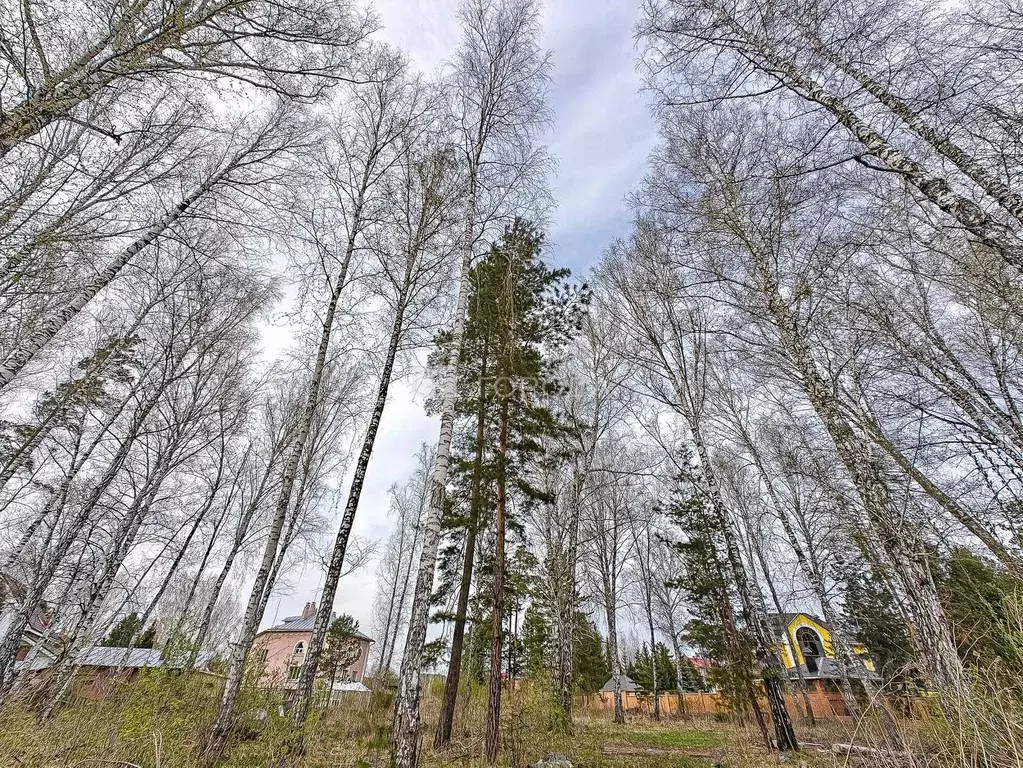 Участок в Новосибирская область, Бердск ул. Голубичная, 13 (10.0 сот.) - Фото 0