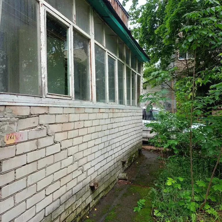 1-к кв. Нижегородская область, Арзамас Нижегородская ул., 3 (30.6 м) - Фото 0