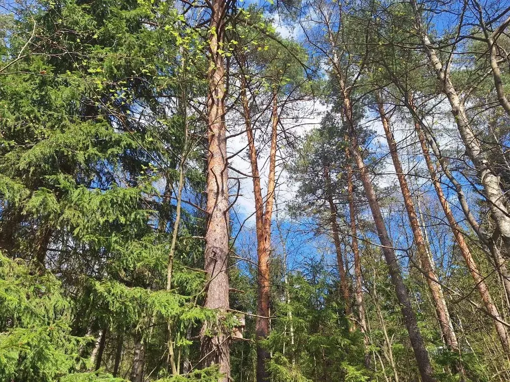 Участок в Московская область, Одинцовский городской округ, д. Дарьино  ... - Фото 0