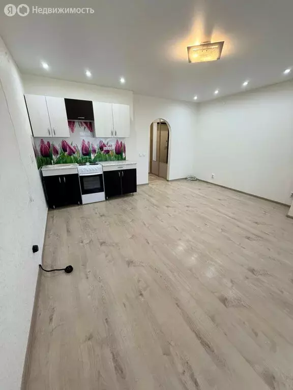 Квартира-студия: Киров, Солнечная улица, 55 (25.5 м) - Фото 1
