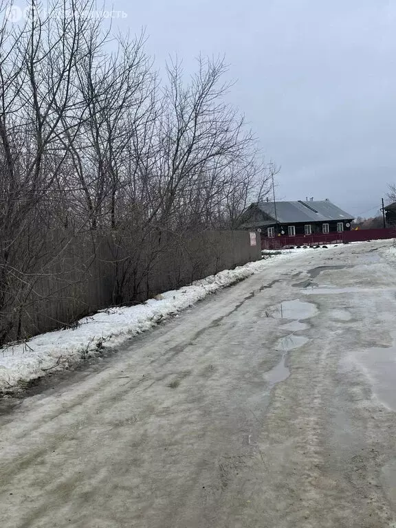 Участок в Нижегородская область, муниципальный округ Бор, село ... - Фото 2