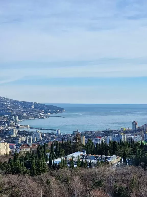 2-к кв. Крым, Ялта муниципальный округ, Виноградное пгт ш. ... - Фото 1