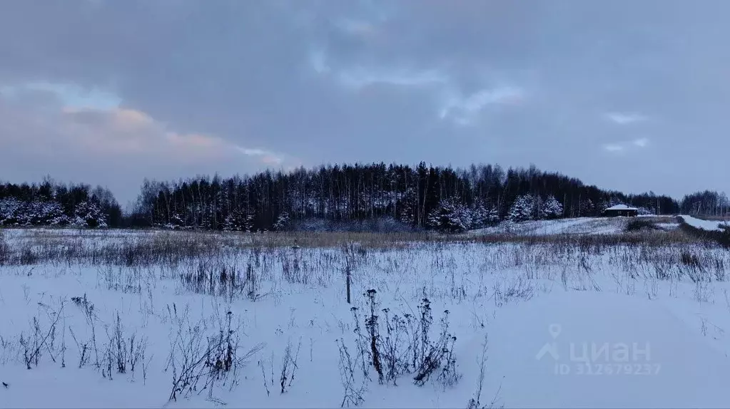 Участок в Татарстан, Зеленодольский район, Раифское с/пос, с. ... - Фото 1