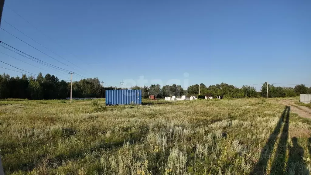 Участок в Воронежская область, Рамонский район, Березовское с/пос, д. ... - Фото 1