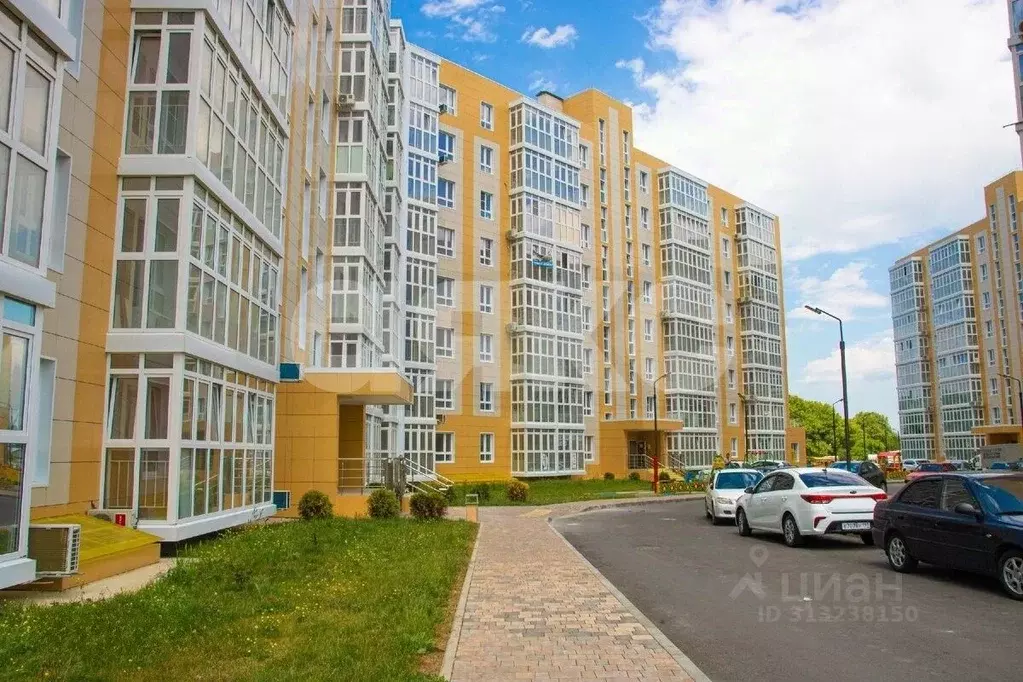 Помещение свободного назначения в Краснодарский край, Анапа ул. ... - Фото 0