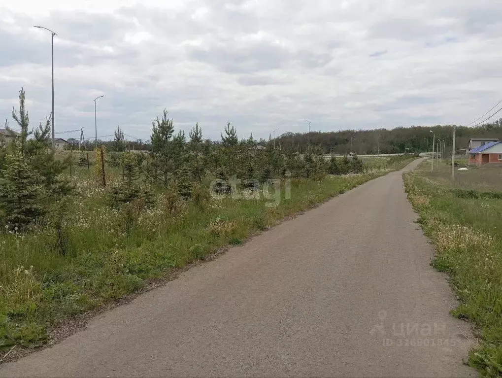 Участок в Белгородская область, Новооскольский муниципальный округ, с. ... - Фото 1