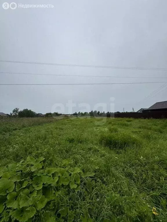 Участок в Ярославский муниципальный округ, деревня Ивановский Перевоз, ... - Фото 1