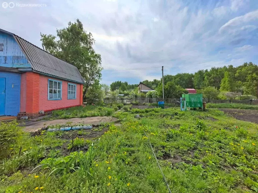 Дом в Омск, территория СОСН Большевичка, 6-я аллея (60 м) - Фото 1