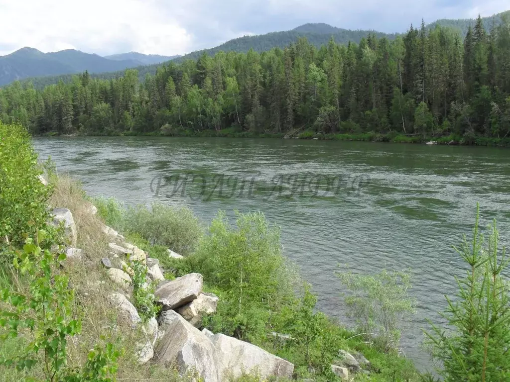 Участок в Алтай, Усть-Коксинский район, с. Катанда  (930.36 сот.) - Фото 2