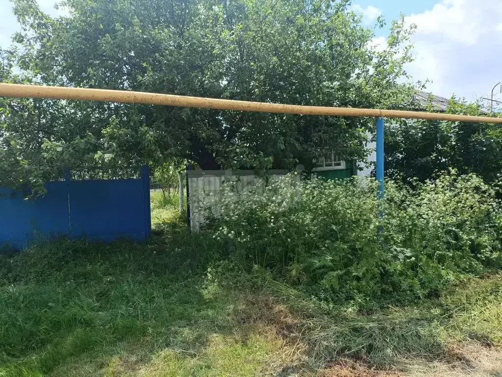 Дом в Белгородская область, Ровеньский район, с. Лозовое ул. Мира, 7 ... - Фото 0