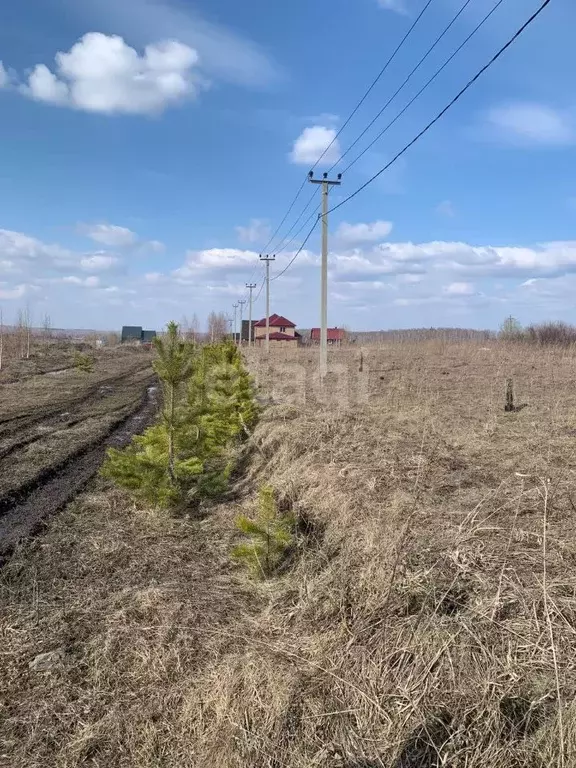 Участок в Кемеровская область, Прокопьевск ул. Лихачева, 18 (10.0 ... - Фото 1