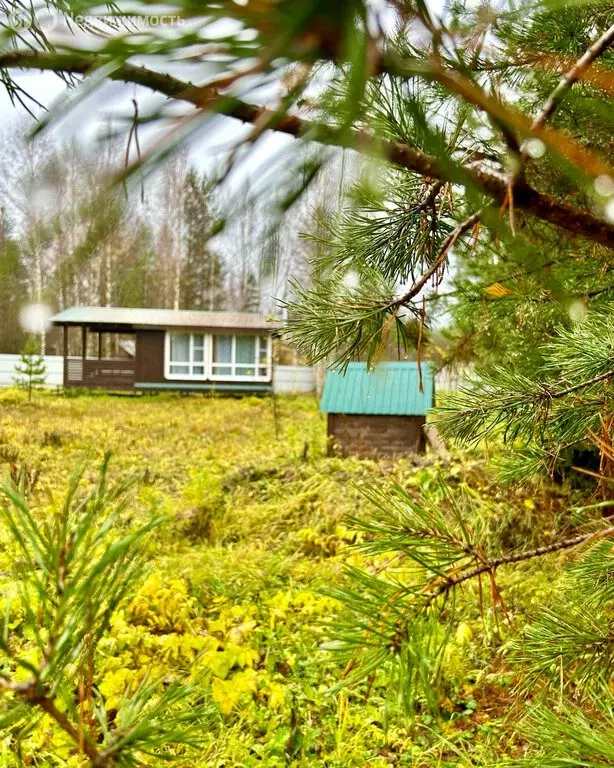 Дом в Вологодская область, Усть-Кубинский муниципальный округ, деревня ... - Фото 1