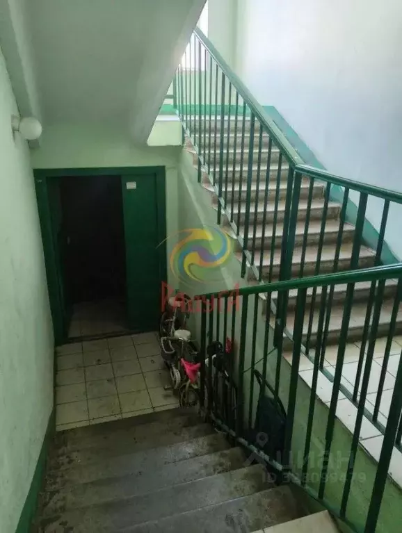 Студия Ивановская область, Кохма Просторный мкр, 9 (25.9 м) - Фото 2