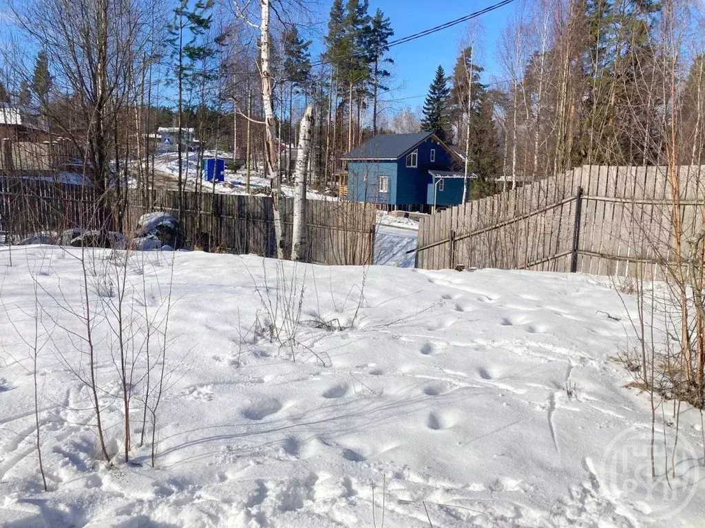 Участок в Ленинградская область, Выборгский район, Полянское с/пос, ... - Фото 1