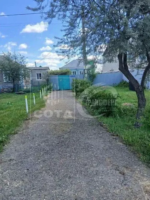 Дом в Воронежская область, с. Новая Усмань ул. Алексеевского (87 м) - Фото 2