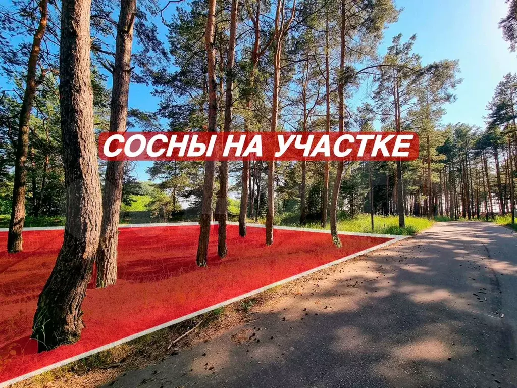 Участок 8 сот. (ИЖС) - Фото 0