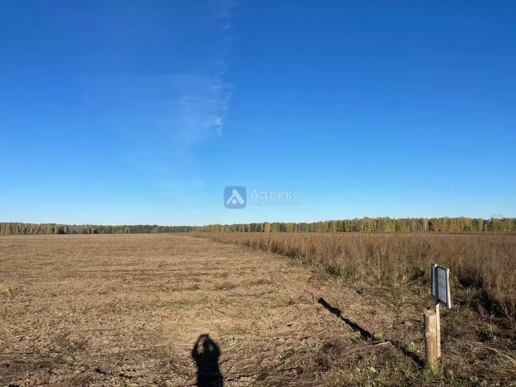 Участок в Тюменская область, Нижнетавдинский муниципальный округ, ... - Фото 2