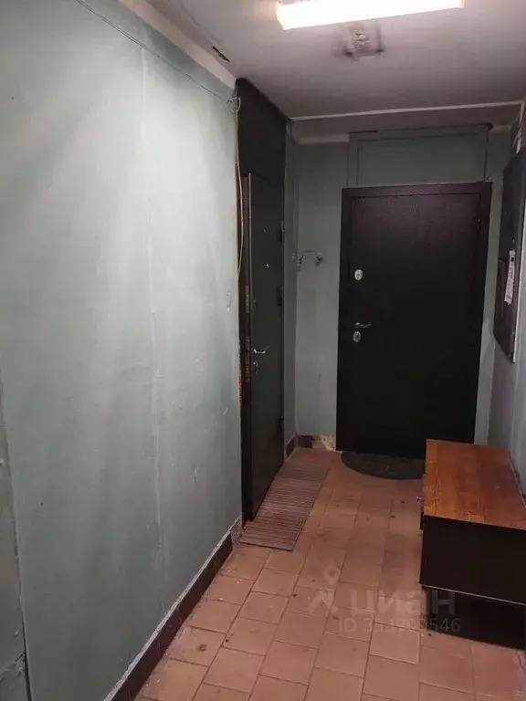 3-к кв. Московская область, Пущино Серпухов городской округ, Д мкр, 9 ... - Фото 2