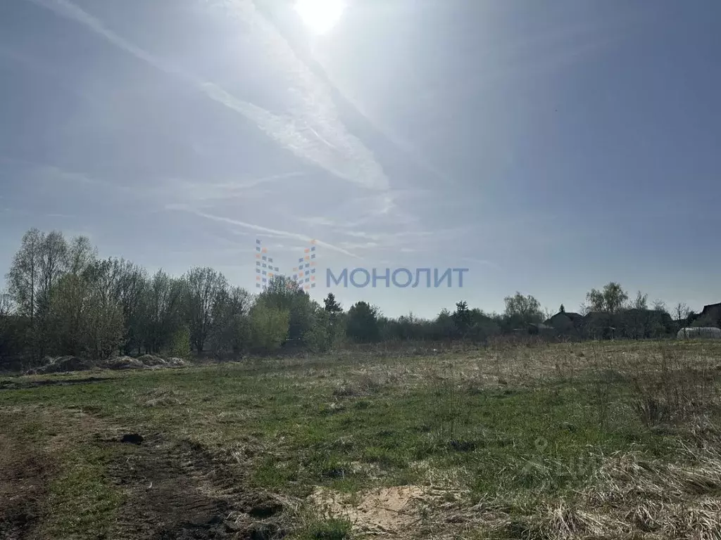 Участок в Нижегородская область, Богородский муниципальный округ, д. ... - Фото 1