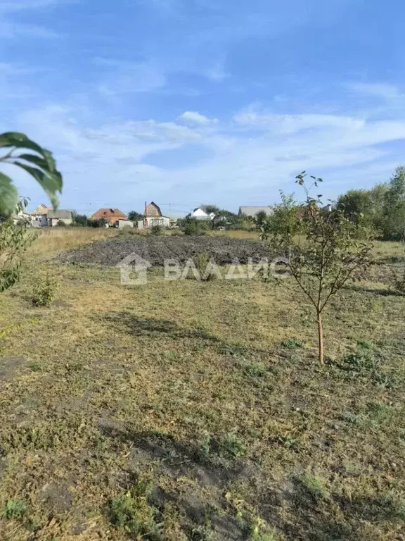Участок в Тамбовская область, Тамбов городской округ, с. Бокино ул. ... - Фото 0