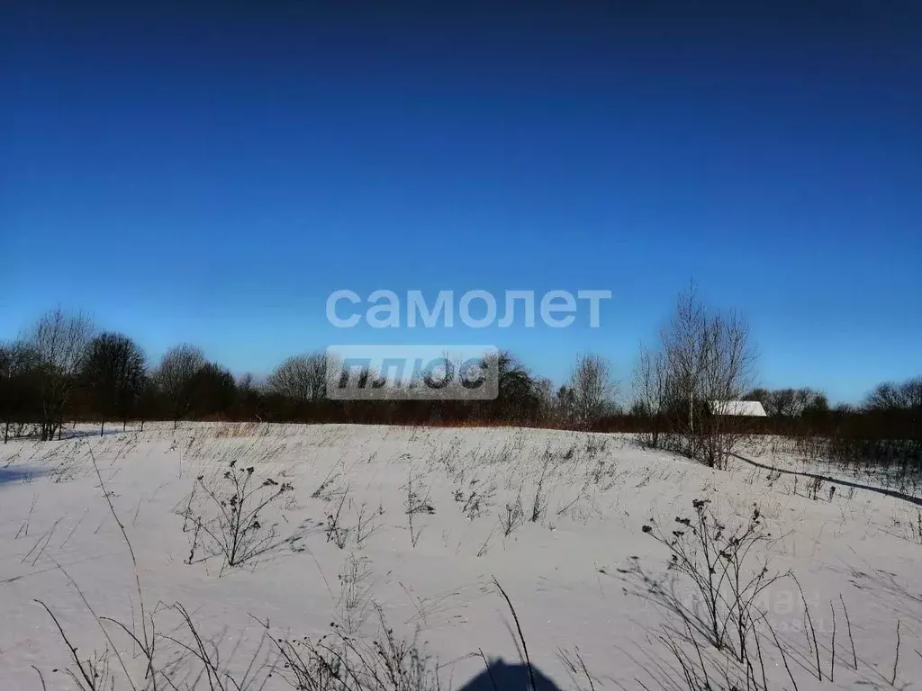 Участок в Ярославская область, Переславль-Залесский муниципальный ... - Фото 2