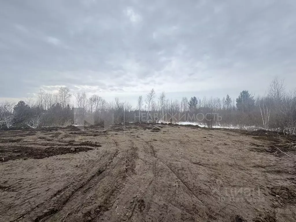 Участок в Тюменская область, Тюменский район, Нива СНТ ул. Длинная, ... - Фото 0