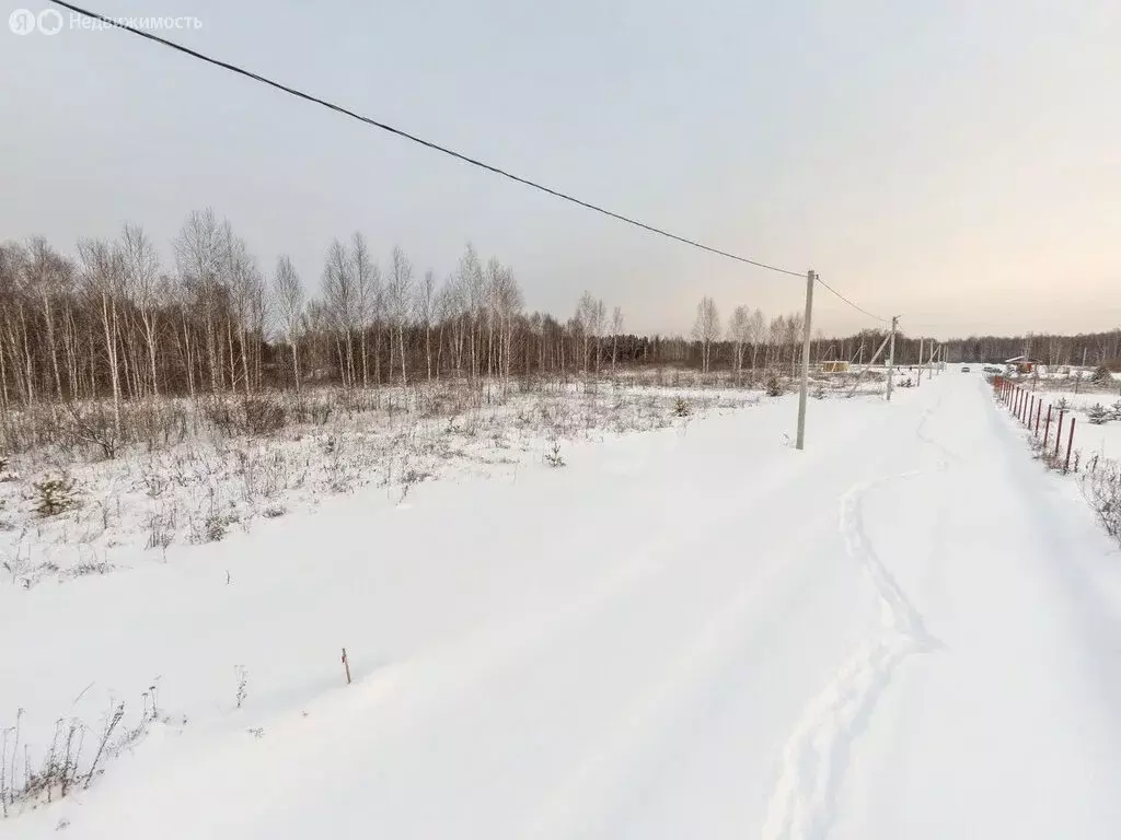 Участок в Тюменская область, Нижнетавдинский муниципальный округ, ДНП ... - Фото 1