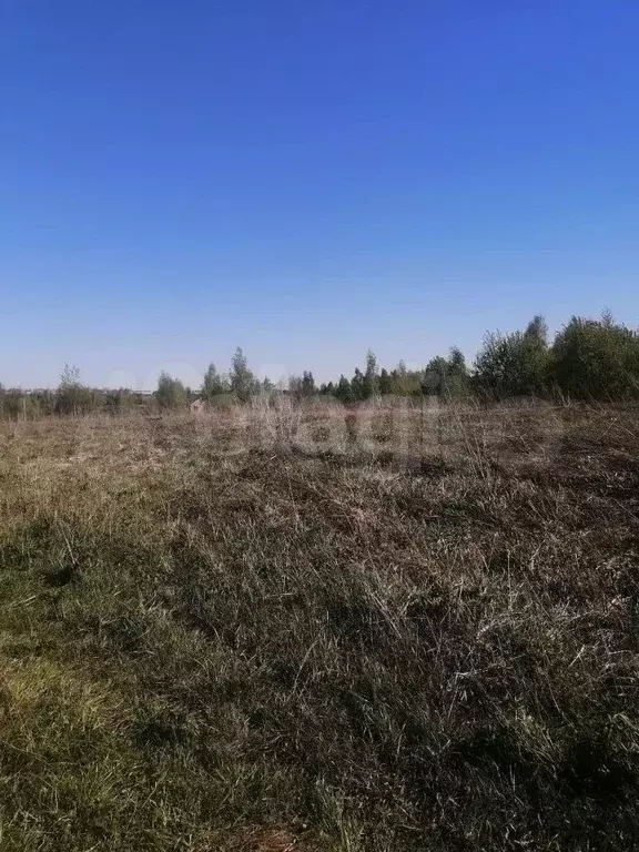Участок 8 сот. (СНТ, ДНП) - Фото 1