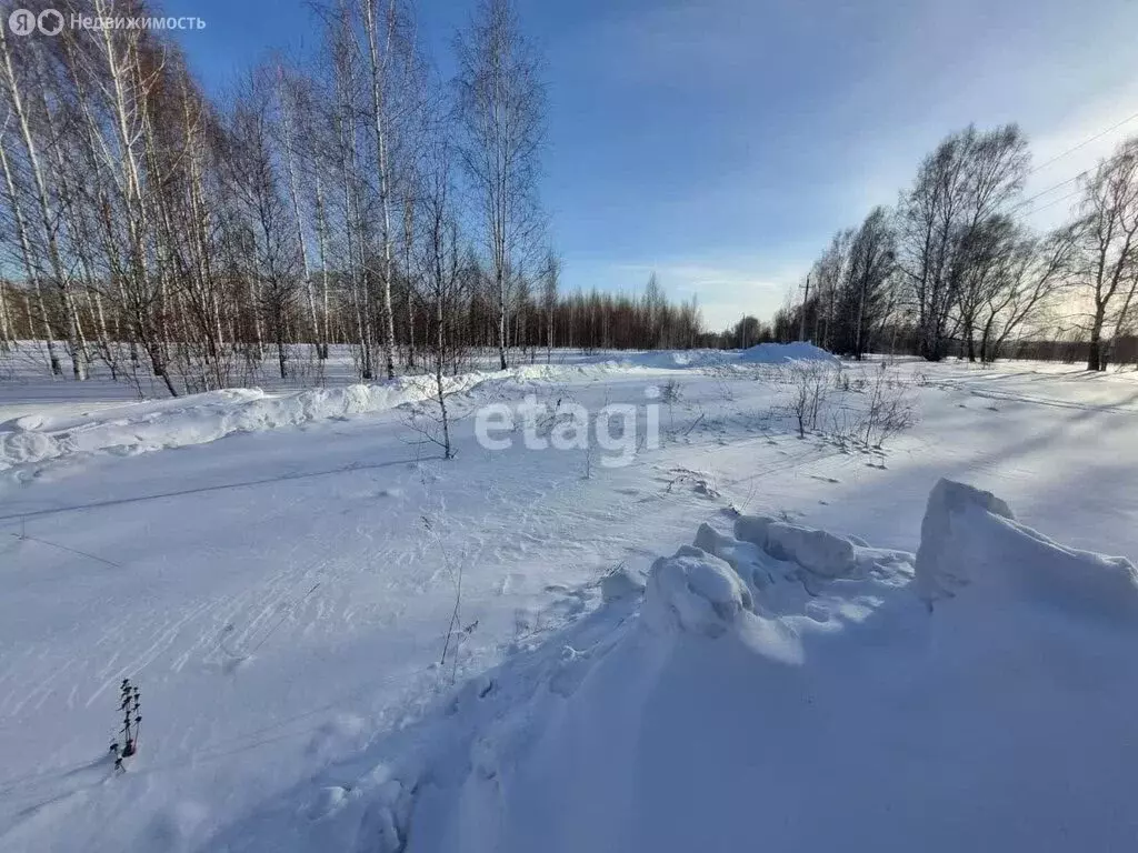 Участок в Новосибирский район, Станционный сельсовет, станция Мочище ... - Фото 0